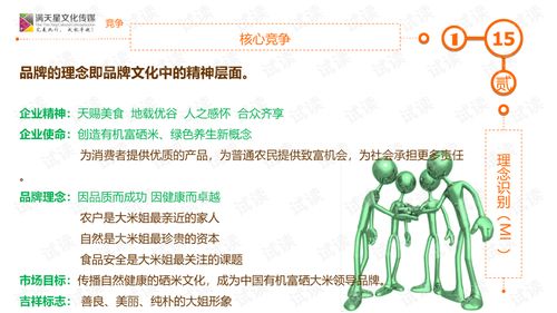 大米姐品牌營(yíng)銷策劃案商業(yè)計(jì)劃書